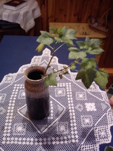 DSC00022