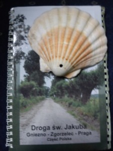 DSC00037