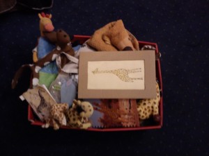 DSC00239